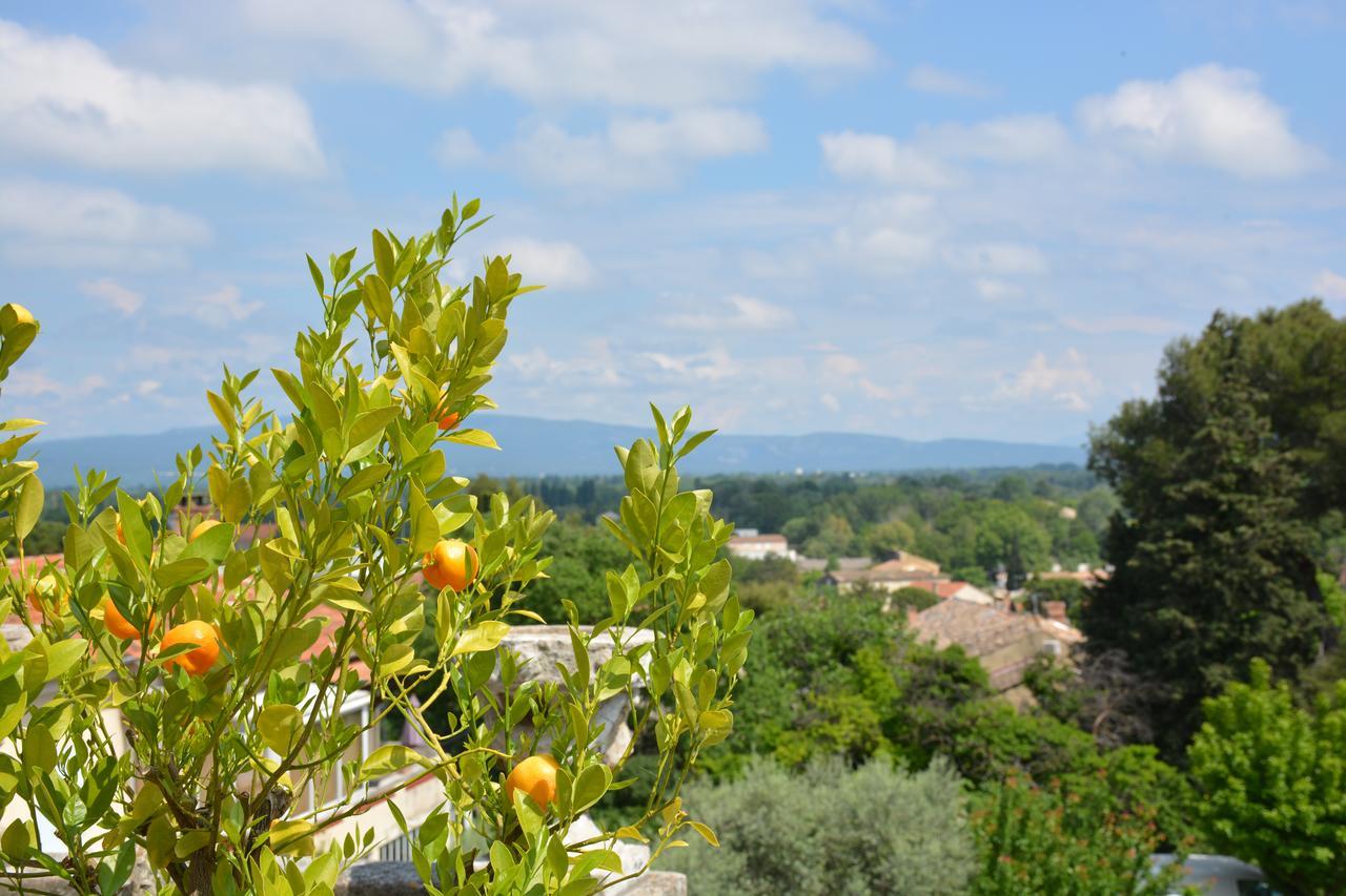 Le Petit Chateau Châteauneuf-de-Gadagne Dış mekan fotoğraf
